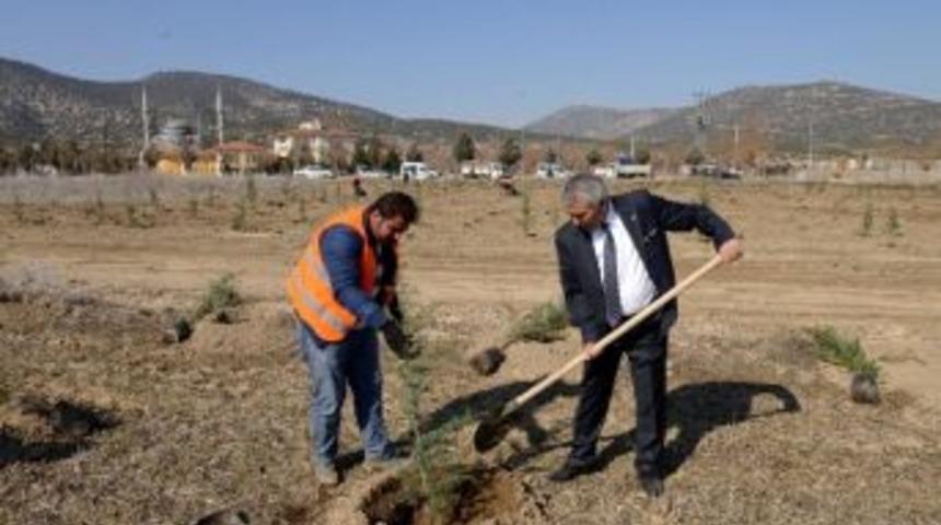 100 Bin Fidan Toprakla Buluşacak
