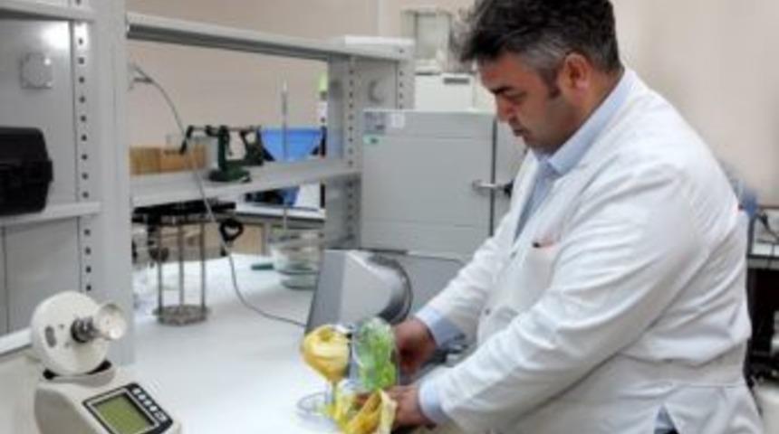 Karaman'da Elmanın Kuruma &Ouml;zellikleri Araştırıldı