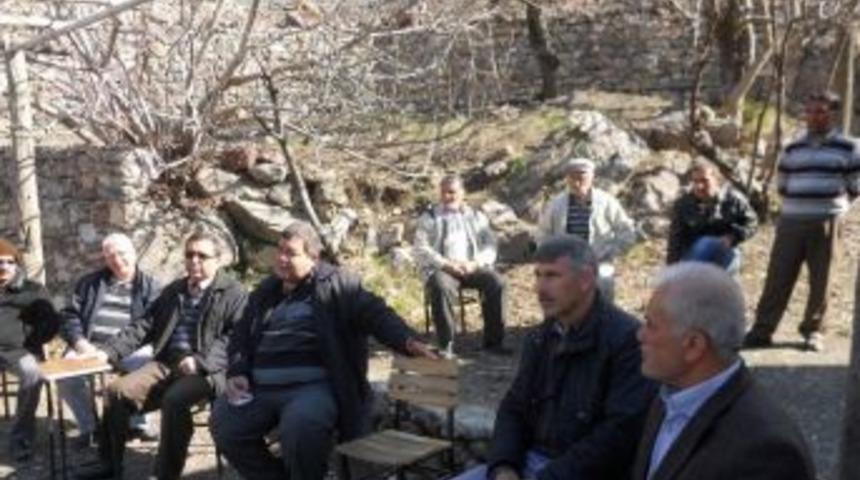 Dalaman&rsquo;da Zeytin Ağacı Budama Kampanyası Başladı