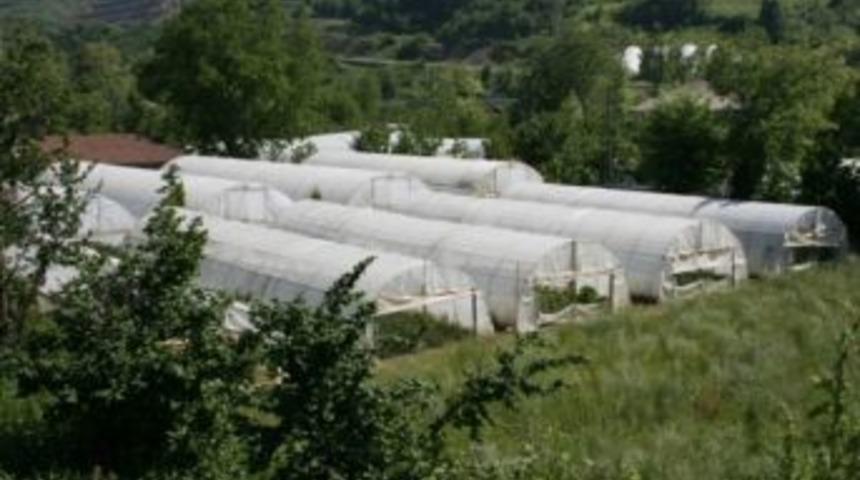 Bartın, Tarım Ve Balık&ccedil;ılık Kredilerinde Son Sırada Yer Aldı