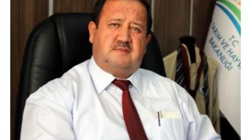 Samsun En &Ccedil;ok &lsquo;buğday Unu&rsquo; İhracatı Yaptı