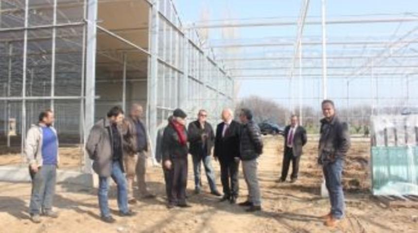 Burhaniye&rsquo;de Yeni Seralar Kuruldu