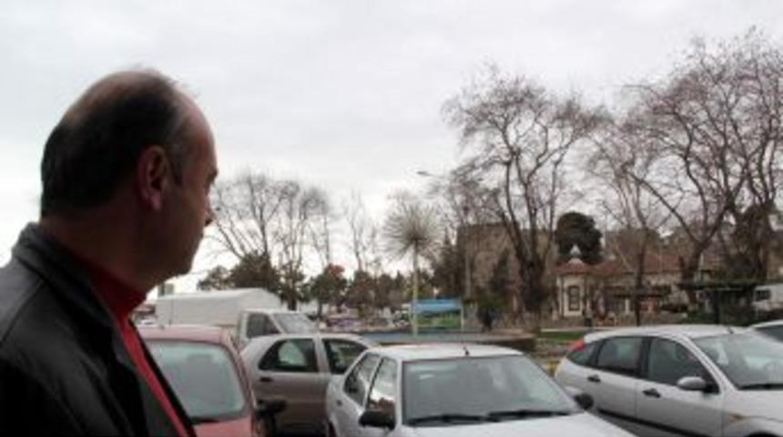 Sinop'ta "ağa&ccedil; Adam" Dikkat &Ccedil;ekiyor