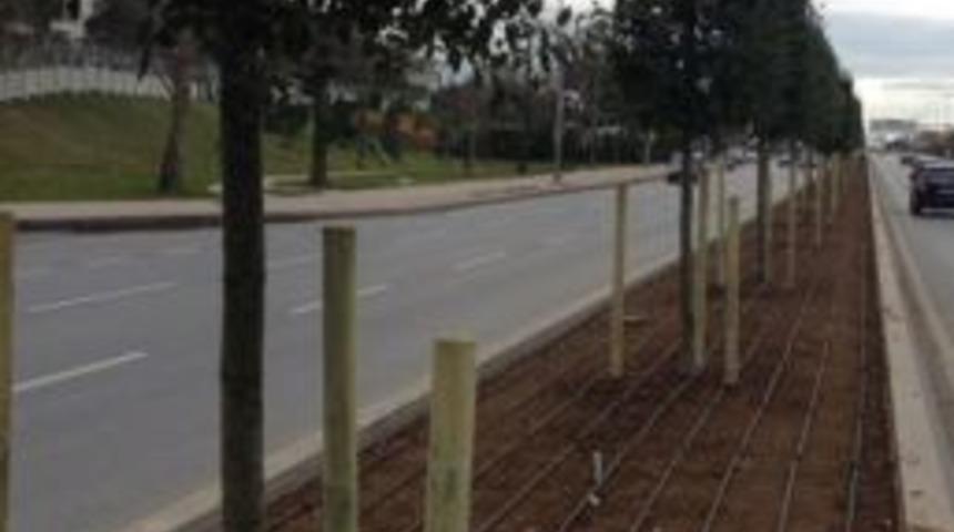 İstanbul&rsquo;da Park Ve Bah&ccedil;elerde &ldquo;damla Sulama&rdquo; D&ouml;nemi Başlıyor