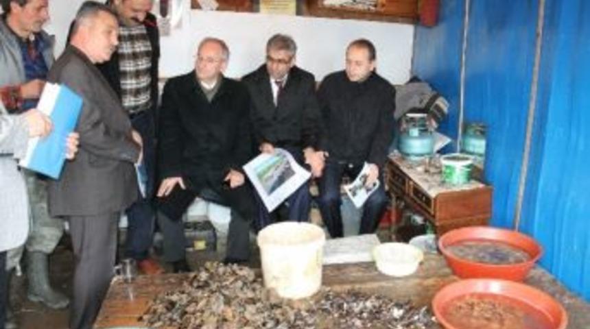 Rumeli Kavağı&rsquo;na Midye İşleme Merkezi M&uuml;jdesi