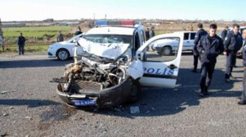 Yola &Ccedil;ıkan K&ouml;pek Zincirleme Kazaya Neden Oldu