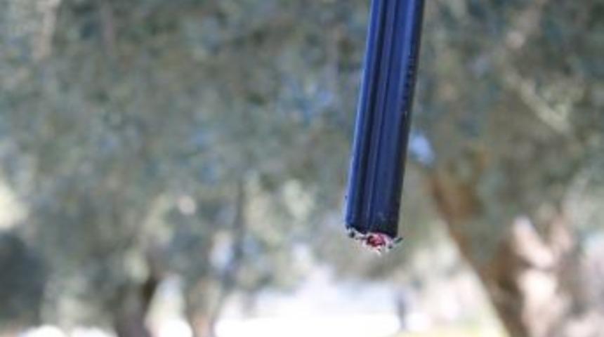 Milas'ta Kablo Hırsızlığı İddiası