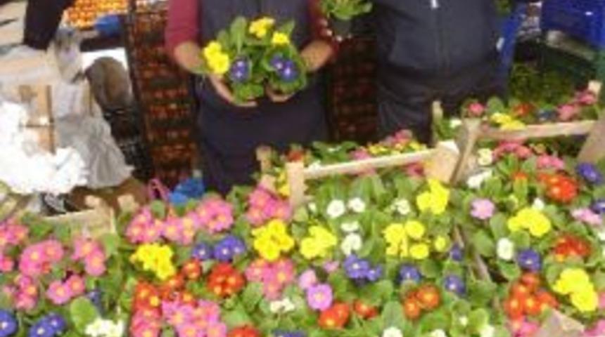 &Ccedil;i&ccedil;ek Satışları Bu Yıl Erken Başladı