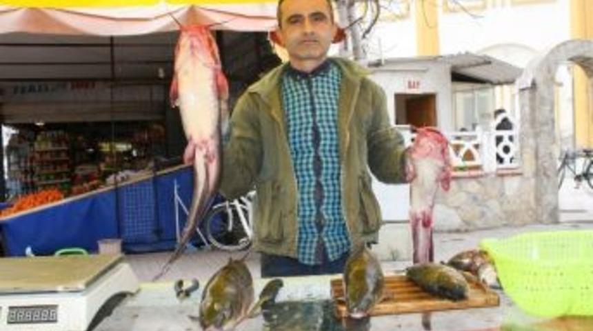 Aydın&rsquo;da Barajlar Vatandaşa Hem Su Hem Ekmek Oldu