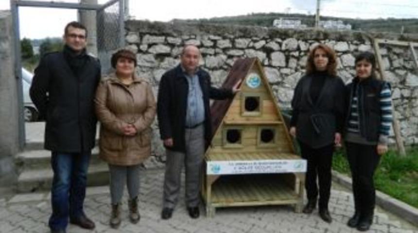 Mudanya&rsquo;da Kedilere Sıcak Villa