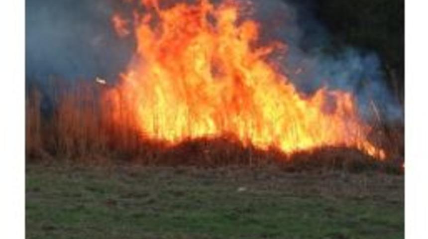 Sazlıkta Ve Zeytin Bah&ccedil;esinde Yangın