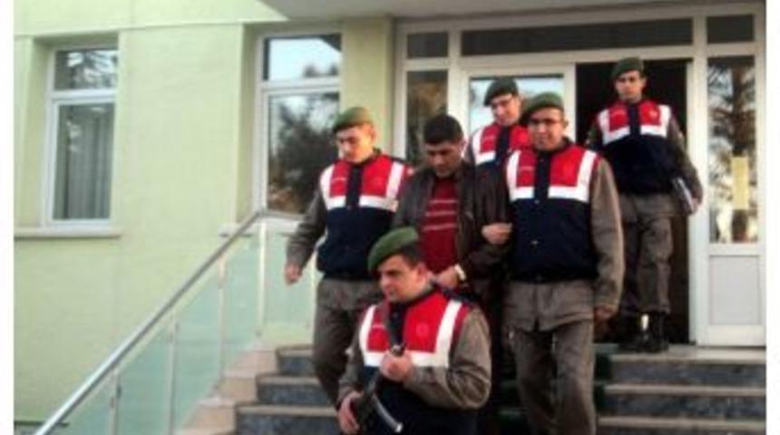 Jandarmadan Hayvan Hırsızlarına Operasyon