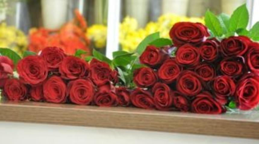 14 Şubat G&uuml;lleri El Yakıyor