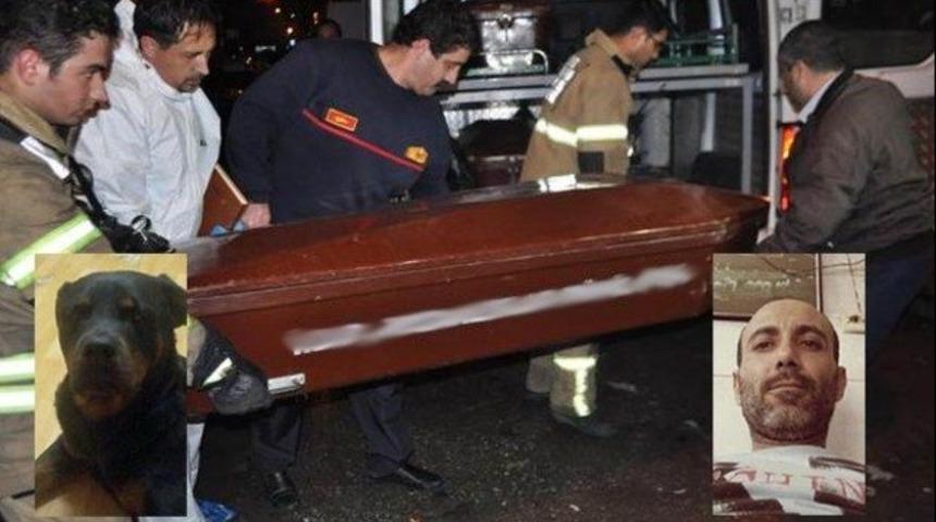 İzmir'de Rottweiler dehşeti