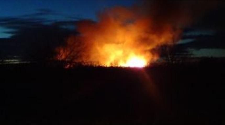 Sazlık Alandaki Yangın Korkuttu