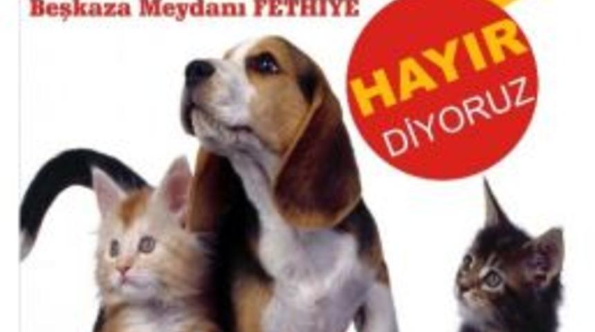 Hayvanlara Y&ouml;nelik Şiddete Tepki Eylemi