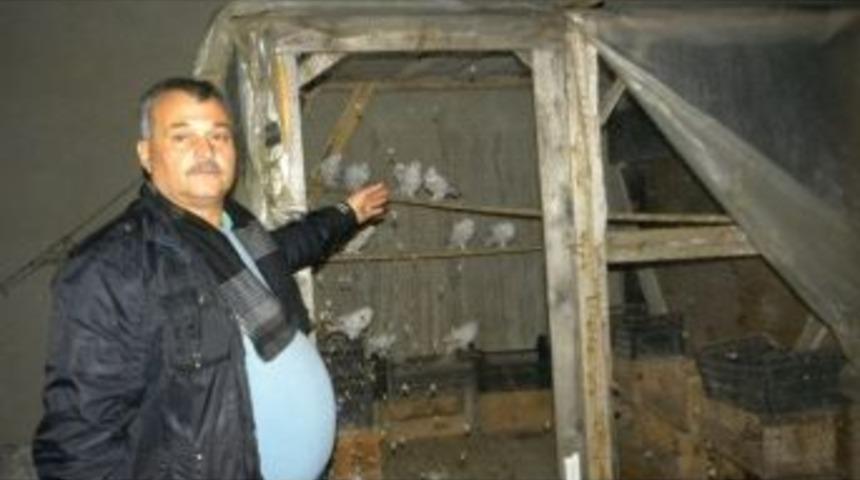 G&uuml;vercin Hırsızları Aranıyor