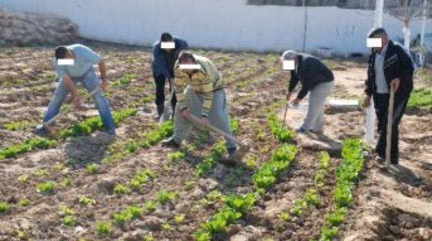 Silifke A&ccedil;ık Cezaevi'ndeki Mahkumlar Meslek Ediniyor
