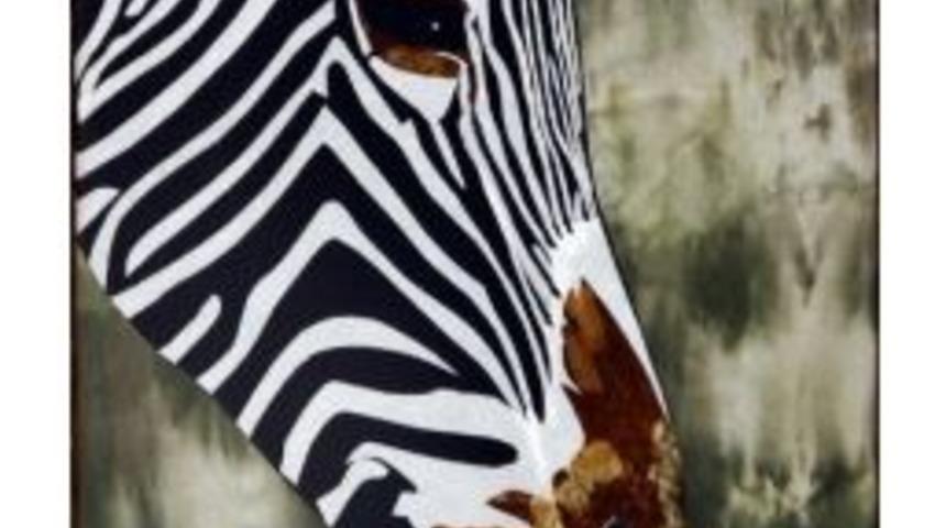 Kumaşlar Tablo Oldu