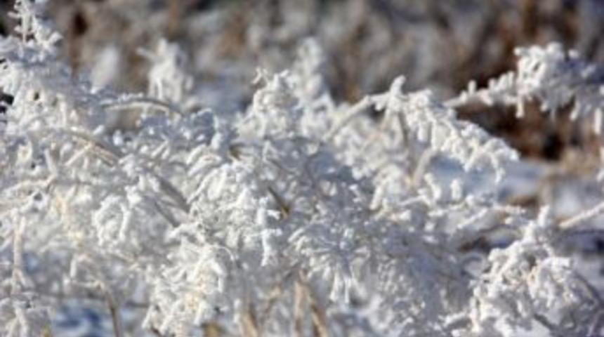 Erzurum&rsquo;da Kartpostallık G&ouml;r&uuml;nt&uuml;ler