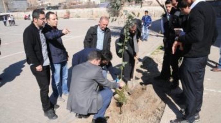 Cizre&rsquo;de 300 Fidan Toprakla Buluştu