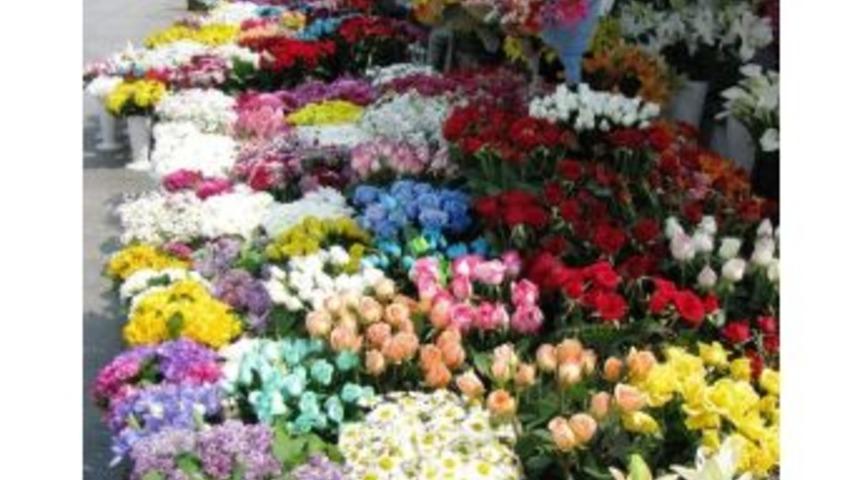 Zonguldak&rsquo;ta &Ccedil;i&ccedil;ek&ccedil;iler 14 Şubat&rsquo;a Hazır