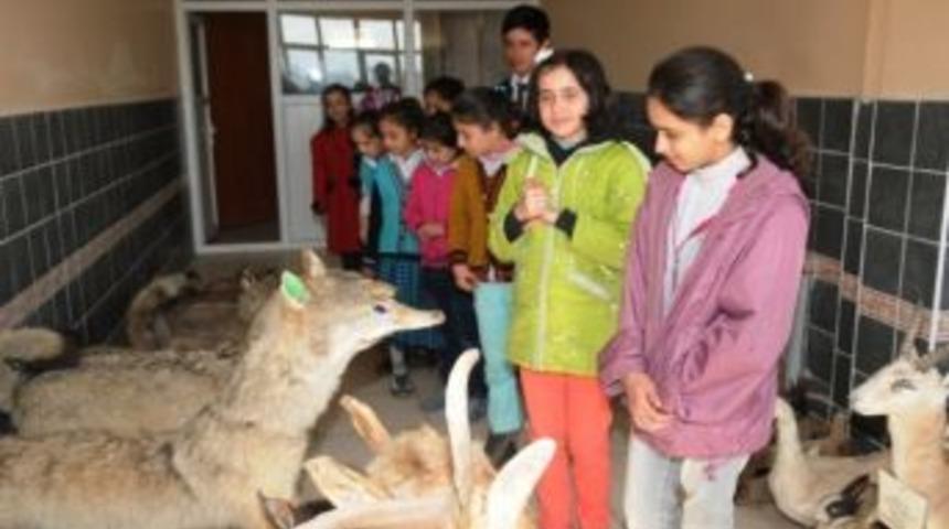 Batmanlı &Ouml;ğrenciler T&uuml;rkiye&rsquo;nin En Zengin Biyoloji M&uuml;zesini Geziyor