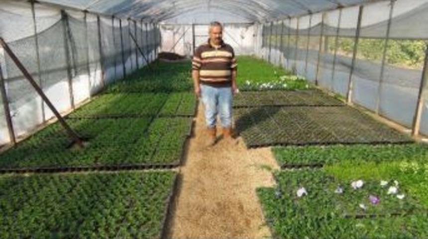 (&ouml;zel Haber) Silifke'deki &Ccedil;i&ccedil;ek Serasında &Uuml;retim Yıl Boyunca Devam Ediyor