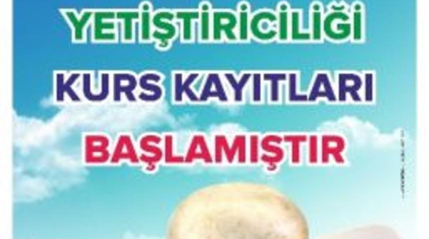 Mantar Yetiştiriciliği Kursu Yeniden A&ccedil;ıldı