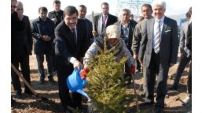 Karataş G&ouml;l&uuml; Kıyısına 265 Bin Fidan