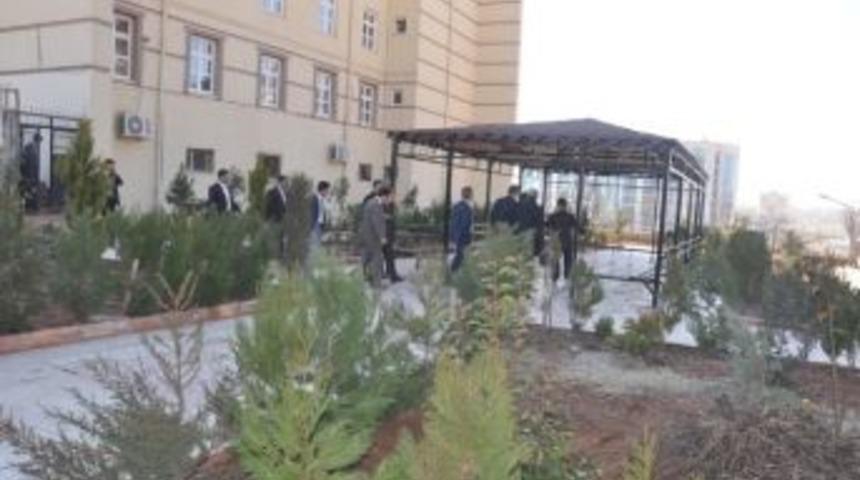 Erkek &Ouml;ğrenci Yurdunun Bah&ccedil;e D&uuml;zenlemesi Tamamladı