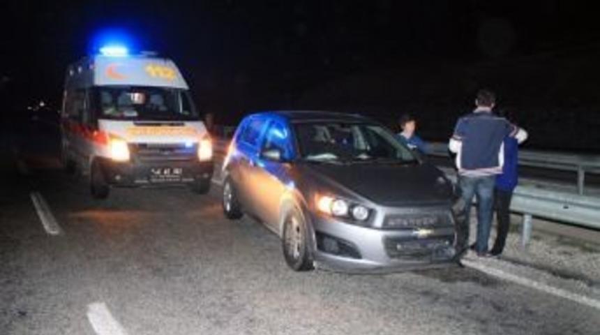 (&ouml;zel Haber) Kazada Yaralanan K&ouml;pek Yol Kenarında Yardım Bekledi