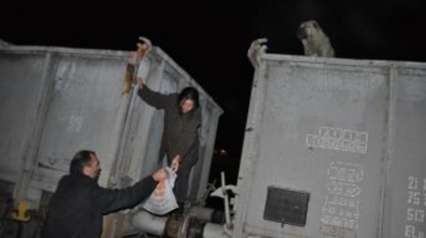 Tren Vagonundaki 7 K&ouml;pek Donmaktan Son Anda Kurtarıldı