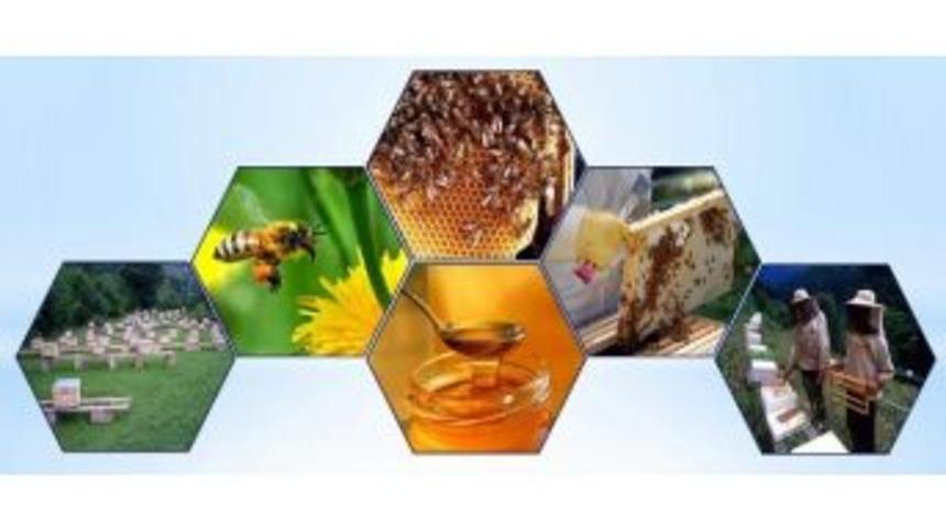 Y&uuml;zde 50 Hibe Baldan Tatlı