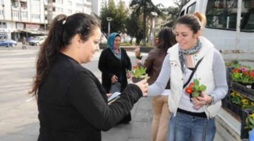 &Ccedil;orlu'da Sevgililer G&uuml;n&uuml;nde 2 Bin &Ccedil;i&ccedil;ek Dağıtıldı