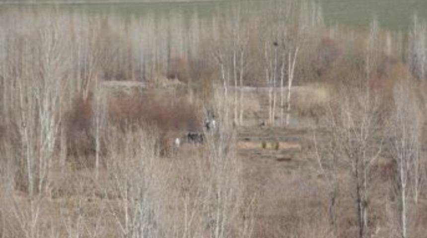 Diyarbakır&rsquo;da Ellerinde Bomba Patlayan 2 Kişi Ağır Yaralandı