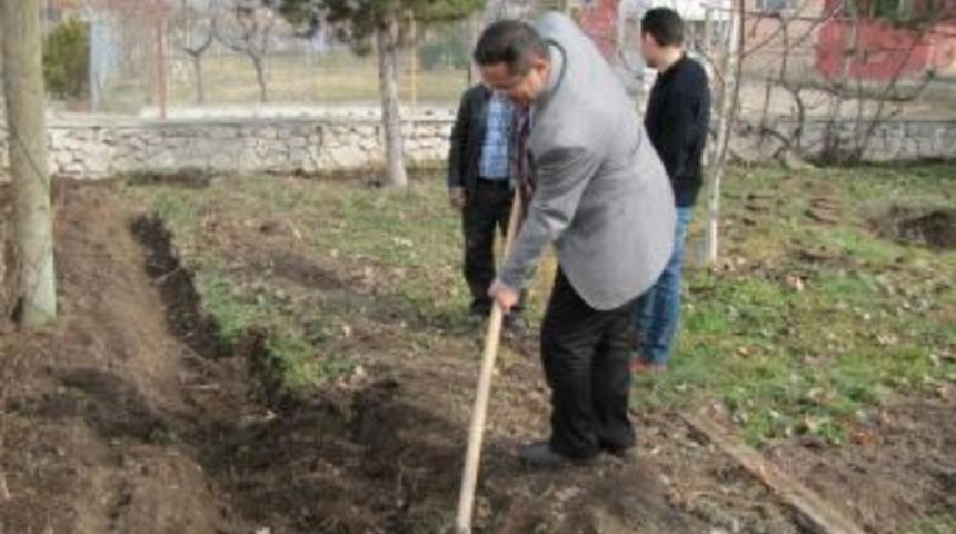 Hisarcık'ta &Ccedil;evre D&uuml;zenlemesi