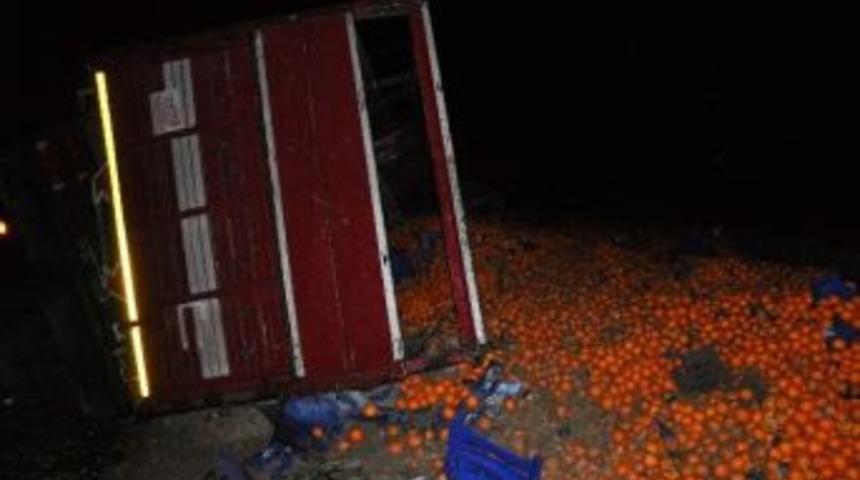 Portakal Y&uuml;kl&uuml; Tır Devrildi, 20 Ton Portakal Etrafa Sa&ccedil;ıldı