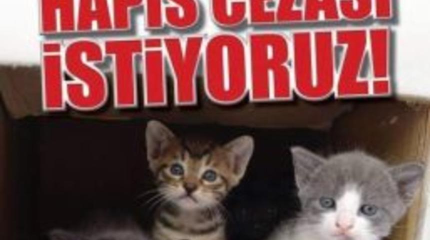 Hayvan Severler Aydın&rsquo;da Hapis Cezası Talebiyle Y&uuml;r&uuml;yecek
