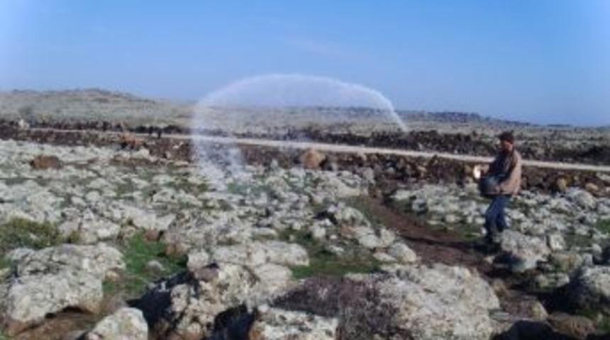 Kilis&rsquo;te Mera &Ccedil;alışmaları Yapılıyor