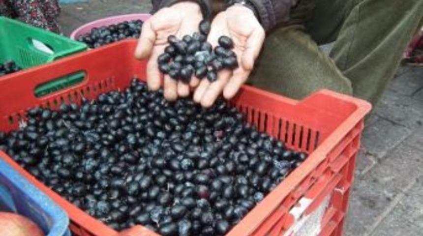 Zeytinde Hasat Sonu Yaklaştı