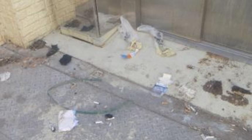 Bilecik&rsquo;te Madde Bağımlıları &Uuml;st Ge&ccedil;idi Mesken Tuttu