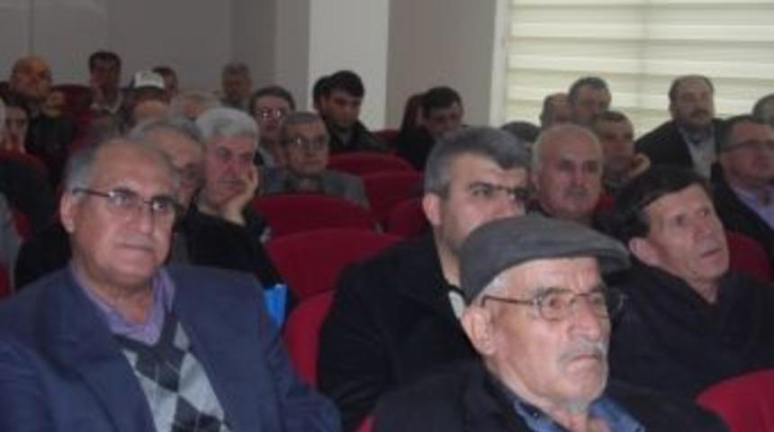 Orhangazi&rsquo;de Zeytin Paneli