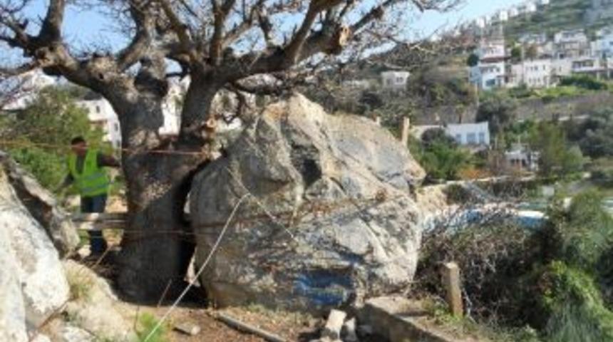 Bodrum Belediyesi Ekipleri 80 Tonluk Kayayı Par&ccedil;alayarak Siteyi Kurtardı