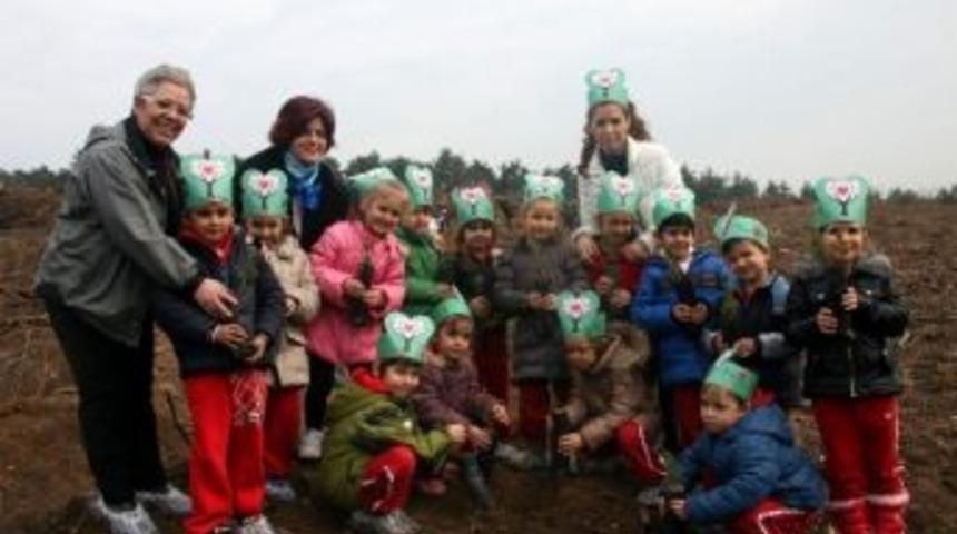 Bah&ccedil;eşehir &Ouml;ğrencileri Y&uuml;zlerce Fidanı Toprakla Buluşturdu