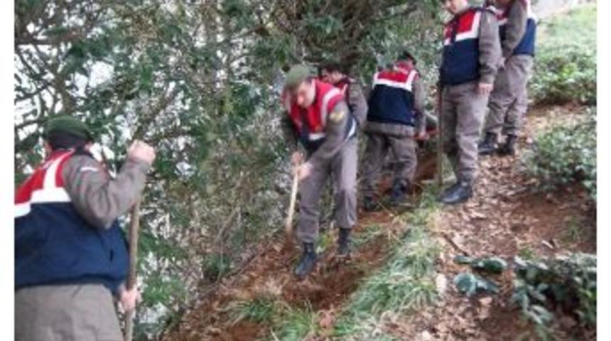 &Ccedil;amlıhemşin&rsquo;de Orman Yangını