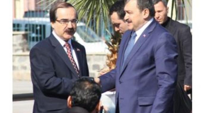 Orman Ve Su İşleri Bakanı Eroğlu'ndan Bal Ormanları M&uuml;jdesi