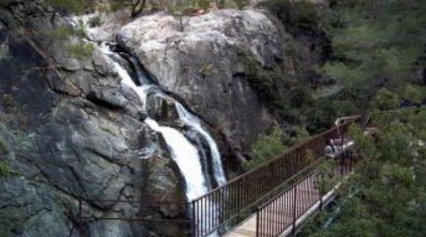 Kaz Dağları, Zenginlikleriyle İlgi &Ccedil;ekiyor