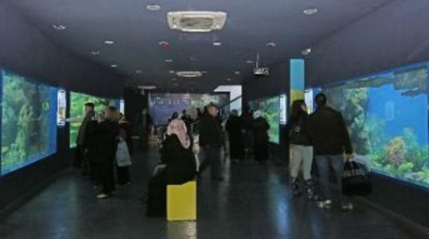 Sualtı D&uuml;nyası 3 Haftada 100 Bin Kişiyi Ağırladı