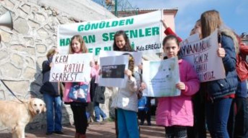 Kediye İşkence Edilmesi Protesto Edildi